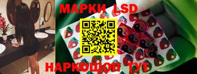 стаф Новокубанск
