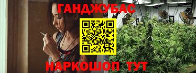 стаф Новокубанск