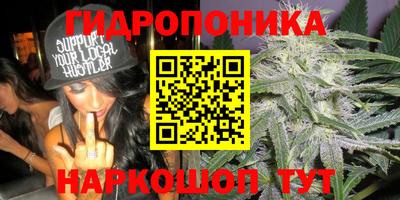 стаф Новокубанск