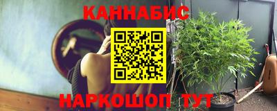 стаф Новокубанск