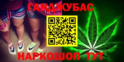 стаф Новокубанск